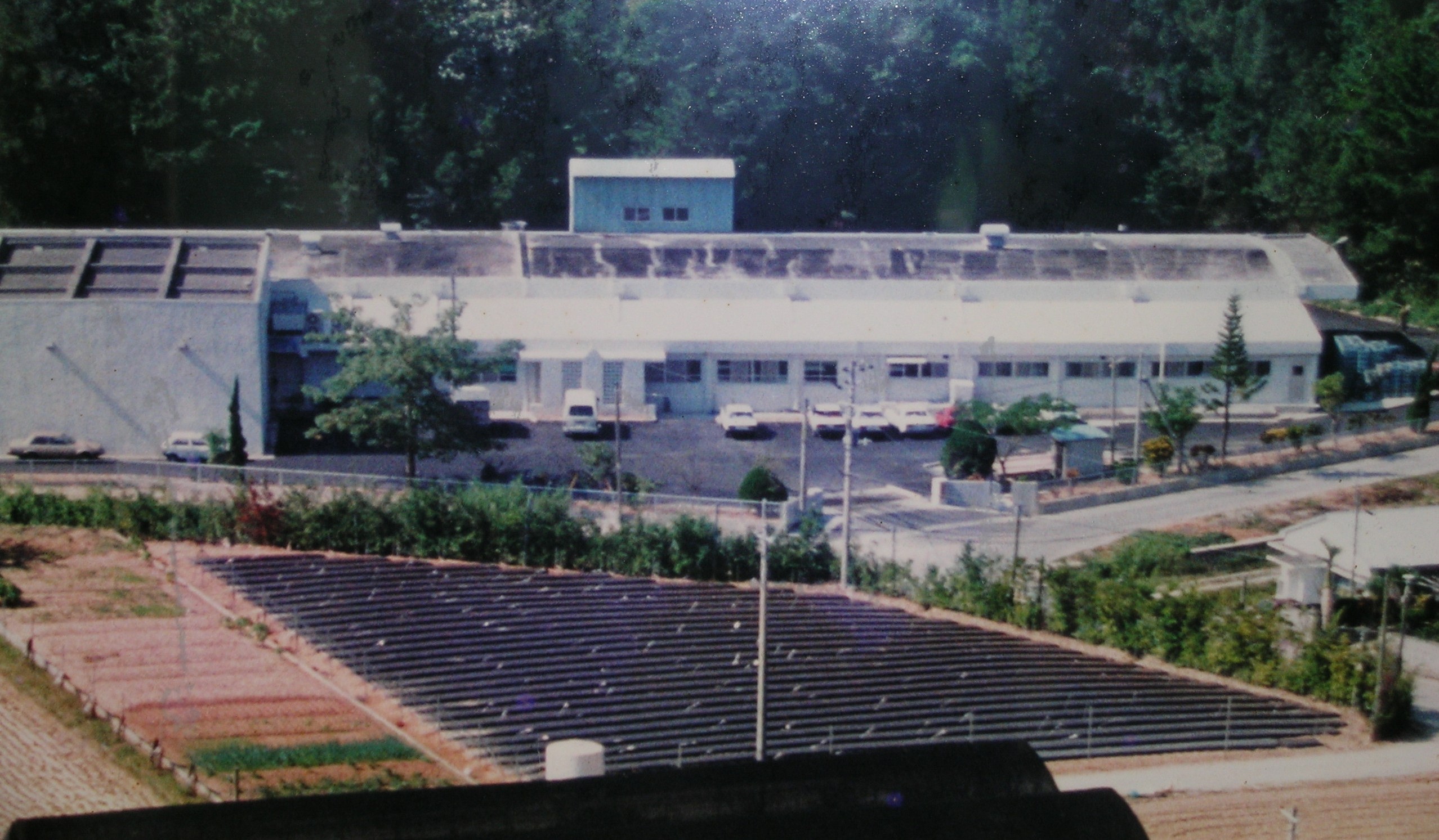 J-03　中央ブロイラー工場　1972年